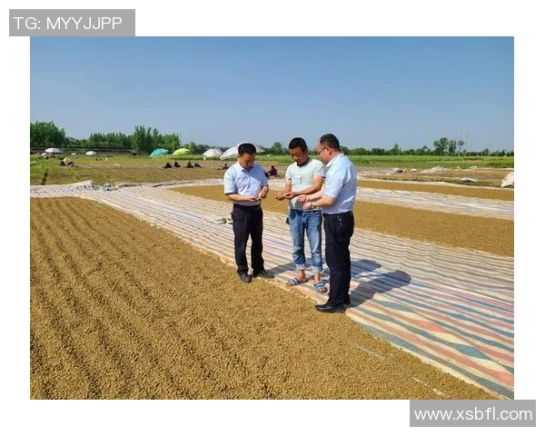 九台农商银行与当地经济发展紧密结合助力乡村振兴新篇章