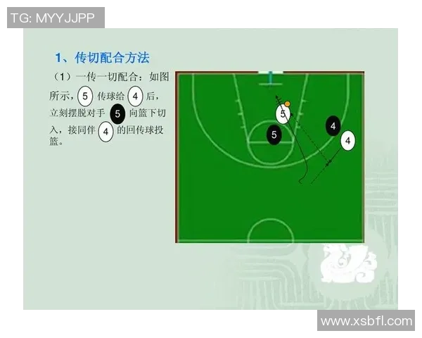 探寻篮球竞技魅力与团队协作精神及战术演变历史传承全景深度解析